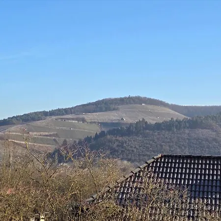 Reblaus Erlabrunn (Wurzburg)